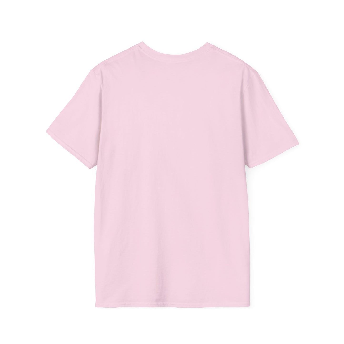 Copy of Copy of Copy of Unisex Softstyle T-Shirt